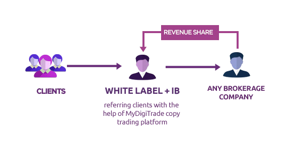 social trading white label model